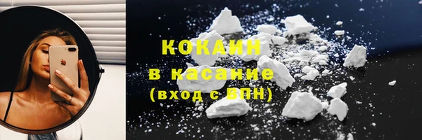 спиды Богданович