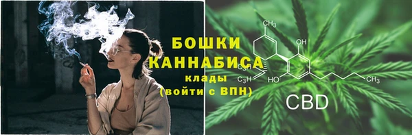 спиды Богданович
