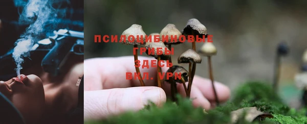 не бодяженный Белокуриха