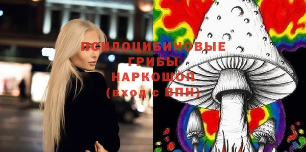 гашик Беломорск