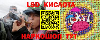 гидра Можга