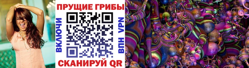 магазин    Улан-Удэ  Псилоцибиновые грибы GOLDEN TEACHER 