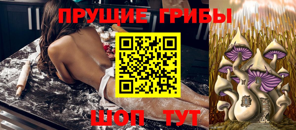 Псилоцибиновые грибы мухоморы Улан-Удэ