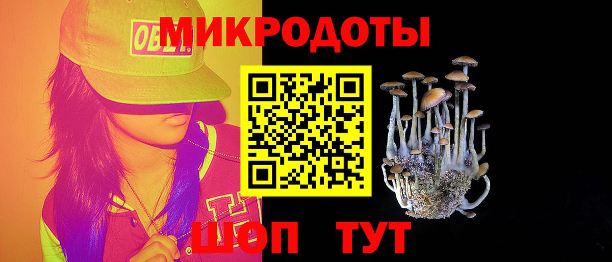 Псилоцибиновые грибы MAGIC MUSHROOMS  Галлюциногенные грибы мухоморы  Улан-Удэ  Вход с VPN 